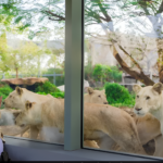 Samsung Set to Boost Agentic AI Experience with One UI 7 in April: A Big Leap or a Risky Move