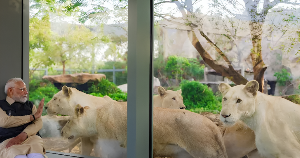 Wildlife center visit PM Modi