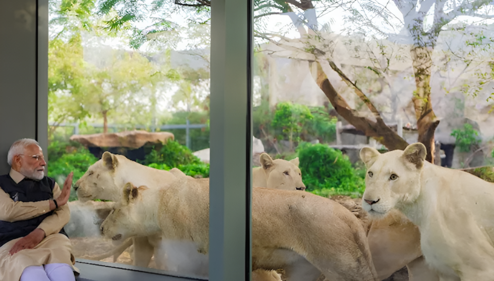 Wildlife center visit PM Modi